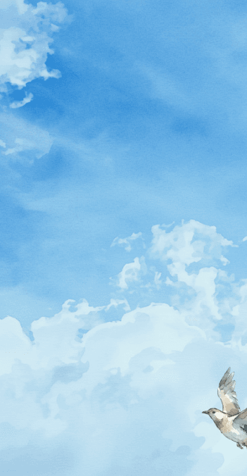 Family-focused Nestvst hero visual